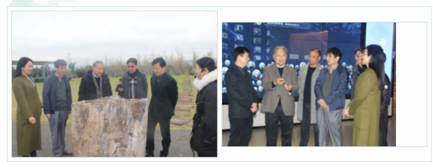 義烏柔性引進(jìn)海外院士 信息技術(shù)咨詢服務(wù)再添高端智庫