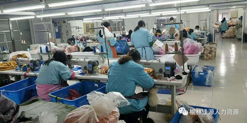 技術(shù)與人力資源優(yōu)化新路徑 毛絨玩具廠商奔赴綏德開啟技術(shù)培訓(xùn)